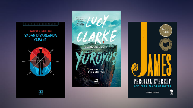 Farklı Kategorilerden Kitap Tavsiyeleri