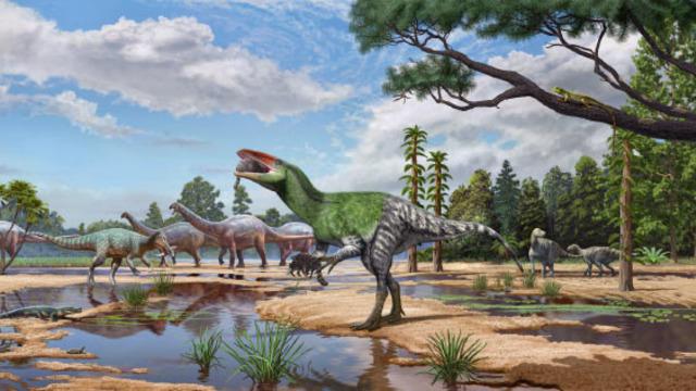Müzede 100 Yıldır Unutulan Fosil, Yeni Bir Dinozor Türünü Ortaya Çıkardı!