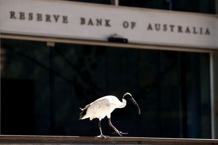RBA tutanakları enflasyon riskleri artarken faiz artışı sinyali verdi